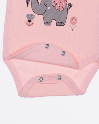 2024_01_16_0083317 2024_01_16_0083317