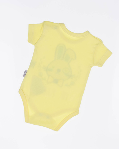 FINDIK 12437 Боди фото