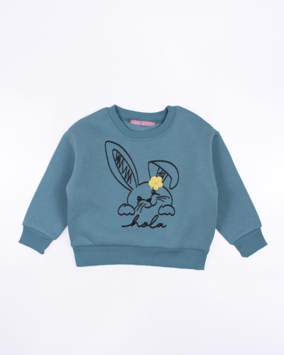 FIRST KIDS 11113 Свитшот утепленный фото